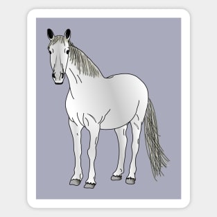 Horse (white/grey south of France Camargue) Magnet